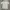 Vintage Streetwear T-shirt Pria White