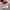 Nike Streetwear Sneakers Wanita white pink photo 4