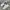 Nike Streetwear Sneakers Wanita white pink photo 1