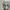 Nike Streetwear Sneakers Pria white black photo 5