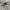 Nike Streetwear Sneakers Pria white black photo 1