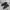 Nike Streetwear Sneakers Pria black photo 1