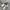 Onitsuka Tiger Streetwear Sneakers Wanita multicolor photo 1