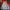 Kolon Sport Gorpcore Windbreaker Pria red photo 5