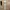 Casual Going out dress Wanita tan cream photo 1