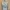Vintage Casual Going out dress Wanita purple white photo 2