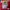 Elstinko Gorpcore Futurist Puffer jacket Pria red photo 3