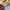 Stussy Streetwear Skater Sweater Pria yellow photo 5