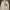 Stussy Streetwear Skater Hoody Pria silver white photo 4
