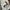 Stussy Streetwear Skater Hoody Pria silver white photo 6