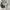 Stussy Streetwear Skater Hoody Pria silver white photo 5