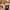 Carhartt Skater Casual Harrington jacket Pria brown photo 1