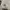 Stussy Streetwear Skater Hoody Pria silver white photo 7