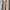 Spao Vintage Y2K Jumpsuit Wanita tan photo 1