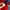 Champion Casual Track jacket Pria red photo 5