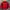 Champion Casual Track jacket Pria red photo 1