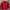 Champion Casual Track Jacket Pria Red
