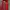 Champion Casual Track jacket Pria red photo 3