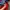 Champion Casual Track jacket Pria red photo 4