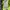 Mercibeaucoup Luxury Avant Garde Puffer jacket Pria blue photo 7