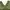 Viviene Tam Luxury Prom Dress Wanita Green