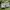 Viviene Tam Luxury Prom dress Wanita green photo 6