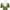 Viviene Tam Luxury Prom dress Wanita green photo 5