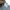Casual Short Pria gray photo 6