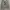 Uniqlo Vintage Streetwear Sweatshirt Pria gray photo 1