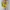 Forever 21 Casual Crop top Wanita orange yellow photo 3