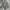 Japanese brand Streetwear Y2K Casual pants Pria green photo 2