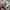DKNY Luxury Wanita multicolor photo 6
