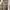 Burberry Casual Harrington jacket Pria white photo 8