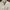 Burberry Casual Harrington jacket Pria white photo 2