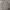 LAINE Casual Formal shirt Pria gray photo 1