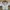 ZARA Minimalist Casual Shirt Wanita white photo 1