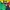 Pancoat Casual Hoody Pria Multicolor