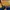 Dickies Gorpcore Track jacket Pria navy photo 5