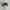 Vintage Streetwear Hat Pria multicolor photo 6