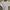 ZARA Indie Casual T-shirt Wanita multicolor white photo 3