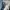 ZARA Streetwear Skater Jeans Pria white blue photo 5