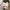 Y2K Lolita Mini skirt Wanita pink black photo 2