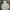 Sportswear Windbreaker Pria Gray