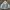 Sportswear Windbreaker Pria gray photo 3