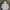 Sportswear Windbreaker Pria gray photo 1