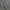 Luxury Formal pants Pria gray photo 3