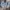 Lee Vintage Grunge Denim jacket Pria blue photo 2