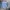 Lee Vintage Grunge Denim jacket Pria blue photo 6