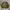 Russell Athletic Streetwear Sweatshirt Pria Green