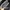 The North Face Streetwear Gorpcore Track jacket Pria black photo 7